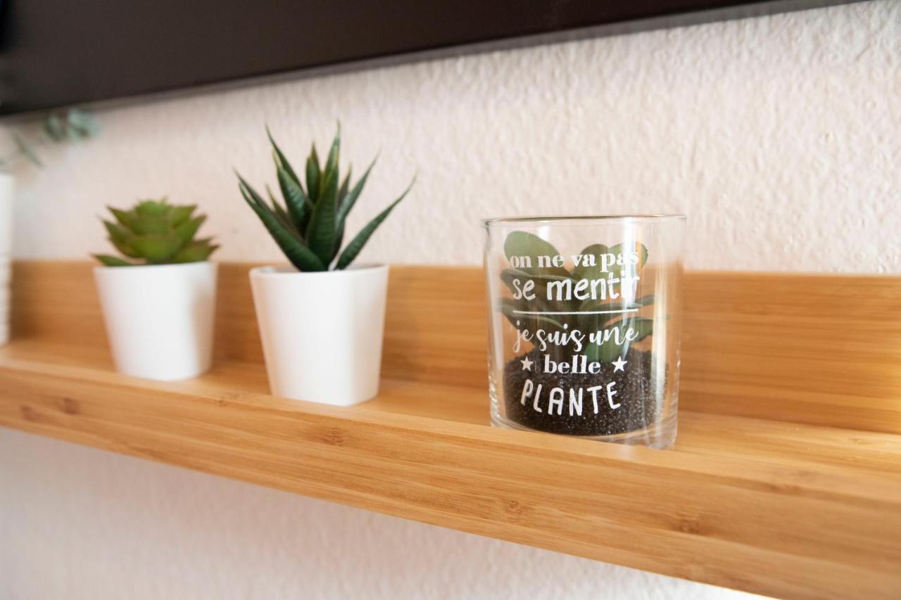 Green Appart Le Chene Rouge Avec Jardin Prive Apartment Mulhouse Luaran gambar