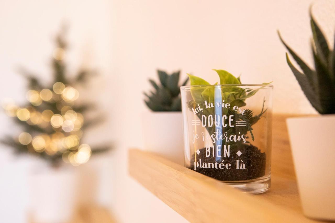 Green Appart Le Chene Rouge Avec Jardin Prive Apartment Mulhouse Luaran gambar